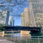 A view of the Chicago cityscape as seen from the Wabash Bridge. A newly sprouting tree branch can be seen in the foreground, while the Chicago River, with the bridge spanning it, and tall skyscrapers are displayed before a blue sky.